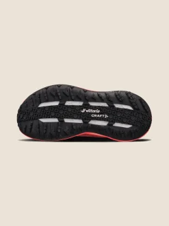 Xplor 2 W